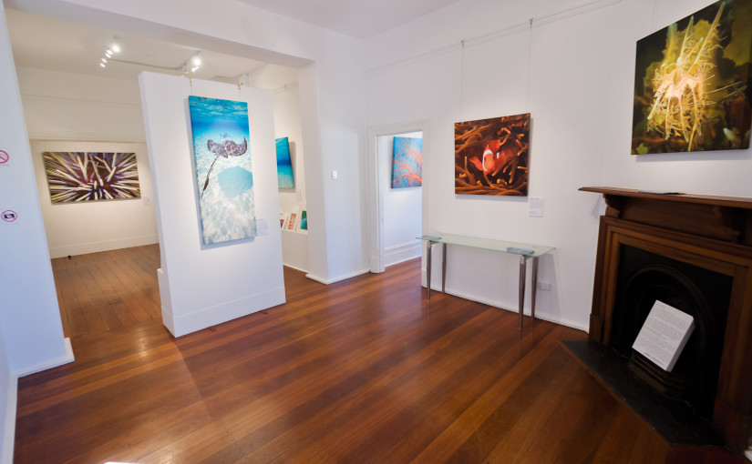 Glen Cowans Studio
