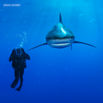 National Geographic Live: Ocean Wild - Hello Perth