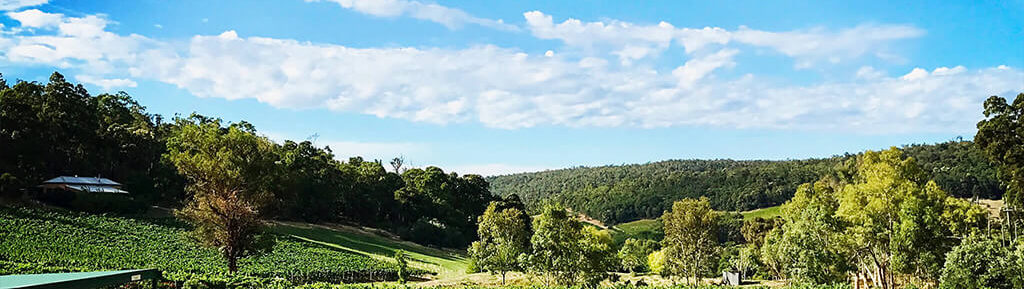 View of Swan Valley Vineyard with Wine Barrel in Foreground