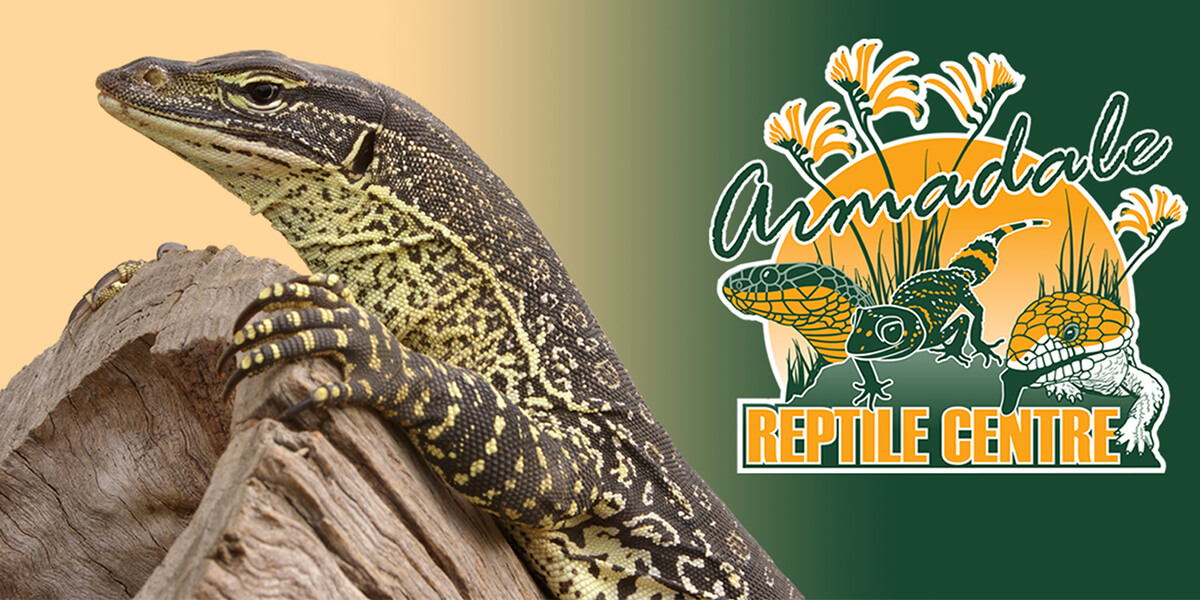 Armadale Reptile and Wildlife Centre Hello Perth