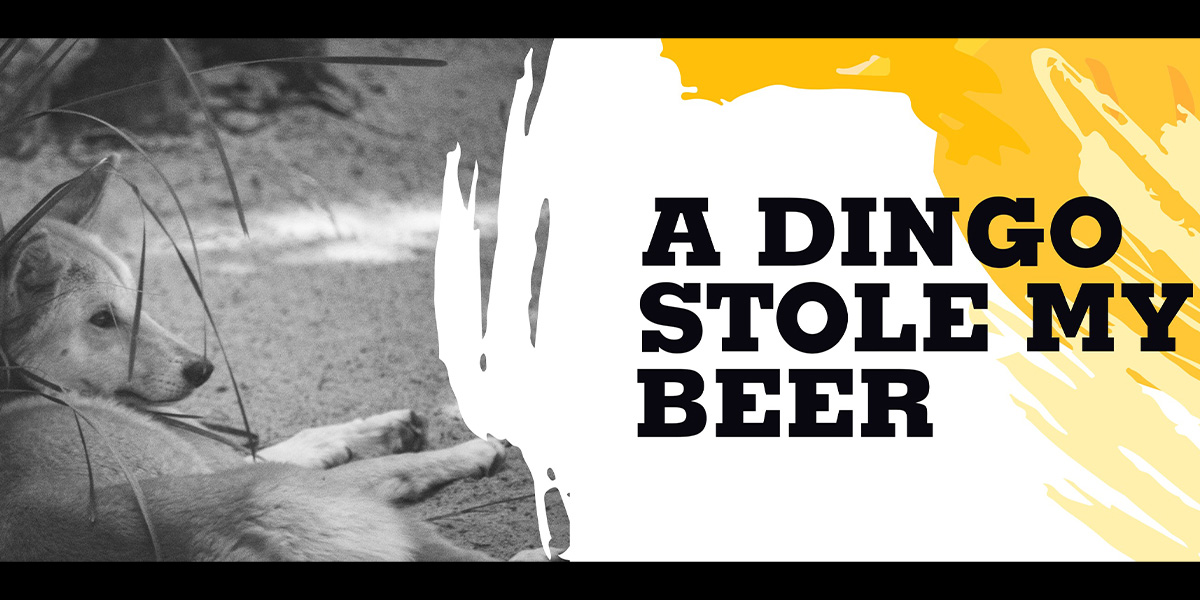 Dingo Brewery Hello Perth